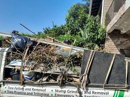 Best Same-Day Junk Removal Services  in Angustura, NM